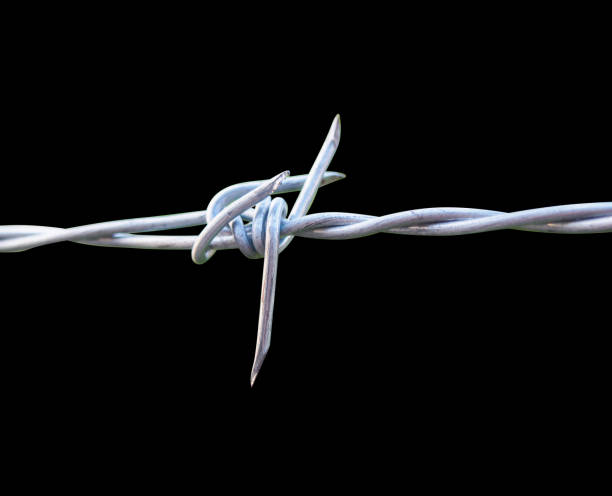 istock isolated barbed wire on the black background 803805062