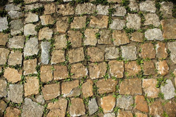 istock Texture of a stone paved tile on the street, cobblestones 803805472