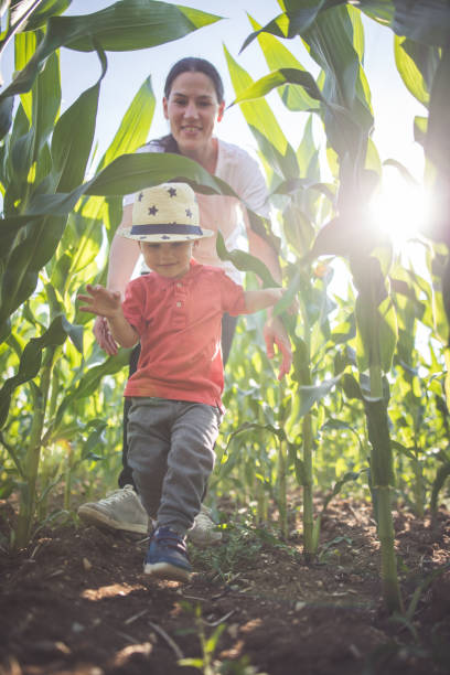 istock Mother and son having fun on the corn farm 803805926