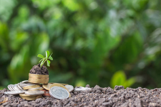 istock Stacked coins placed on the soil and seedling on top. 803812440