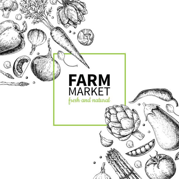 Vegetable hand drawn vintage vector frame illustration. Farm Market poster. Vegetarian set of organic products. Vegetable hand drawn vintage vector frame illustration. Farm Market poster. Vegetarian set of organic products. Detailed food drawing. Great for menu, banner, label, symbol, flyer chili pepper border stock illustrations