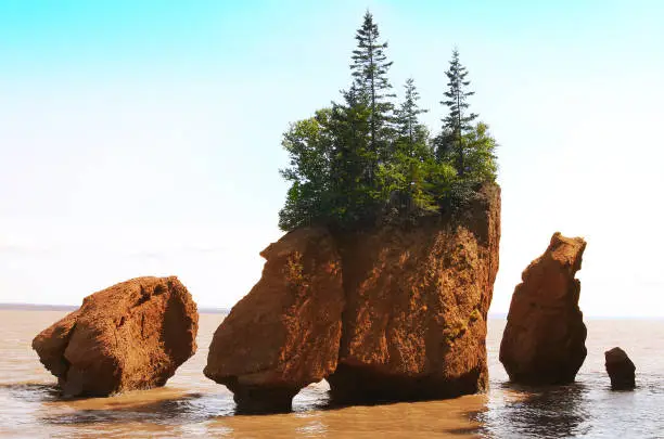Photo of Hopewell Rocks in the Bay of Fundy, New Brunswick, Canada in the muddy water at high tide