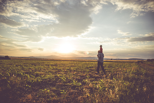 Grandfather carries his grandson on piggy back while they walk through the field in the nature during the sunset