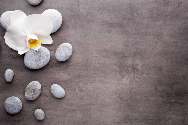 istock White orchid and spa stones on the grey background. 803865938