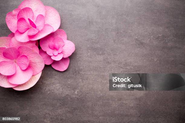 Wellness Background Stock Photo - Download Image Now - Beauty, Flower, Health Spa