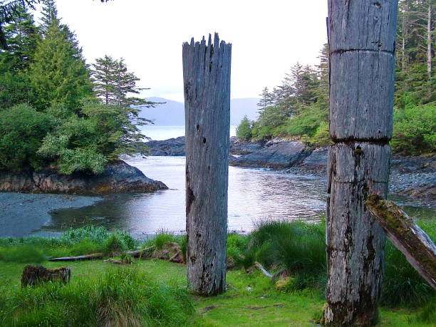 Historic Totem Poles Historic Totem Poles at Ninstints, Haida Gwaii, British Columbia, Canada haida gwaii totem poles stock pictures, royalty-free photos & images