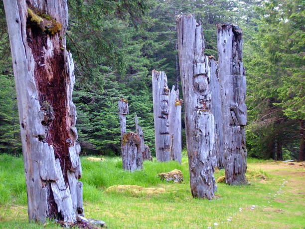 Historic Totem Poles Historic Totem Poles at Ninstints, Haida Gwaii, British Columbia, Canada haida gwaii totem poles stock pictures, royalty-free photos & images