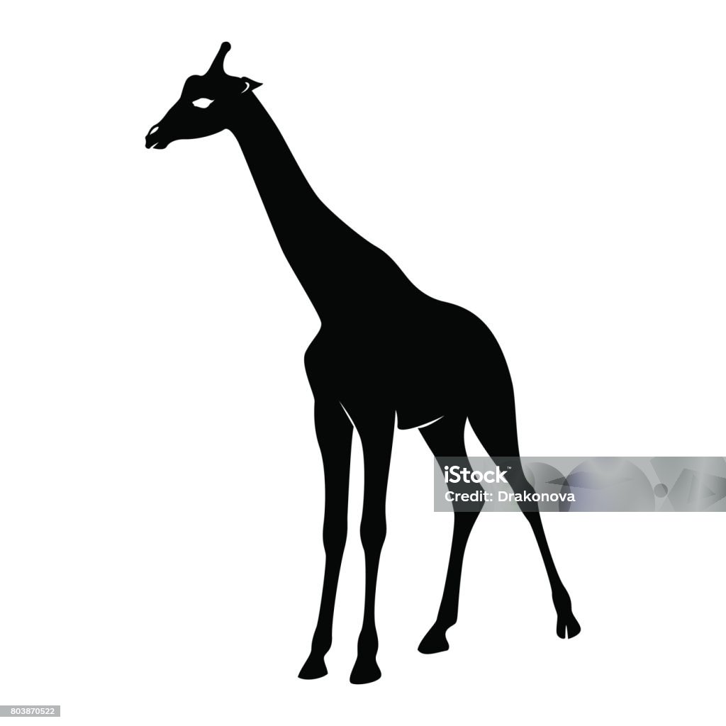 Giraffe Outline Silhouette PNG Images, Giraffe Silhouette