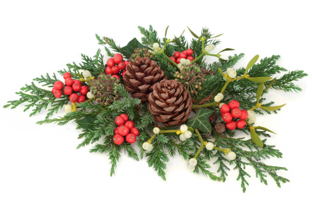 istock Winter and Christmas Floral Display 803878408