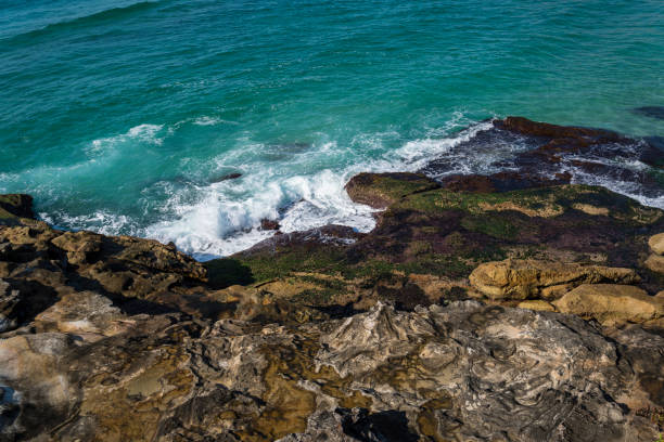 istock Rocky coast close to Bronte beach, Sydney, NSW,  Australia 803878642