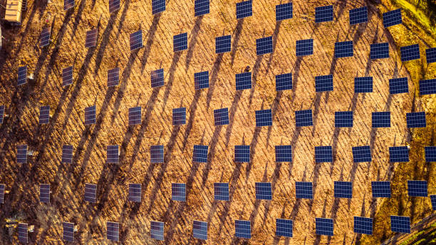 istock Fields of solar panels on the green hills in spring 803881792