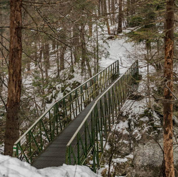 istock Bridge over Hornad river in Slovakia Paradise 803884092