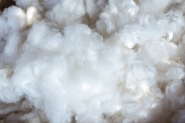 istock Raw of silk before process to clothing 803888738