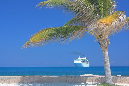 View from the beach of a palm tree blowing in the wind and cruise ship tendered in the distant blue water.