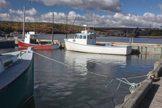 istock Moored fishing boats. 803892070
