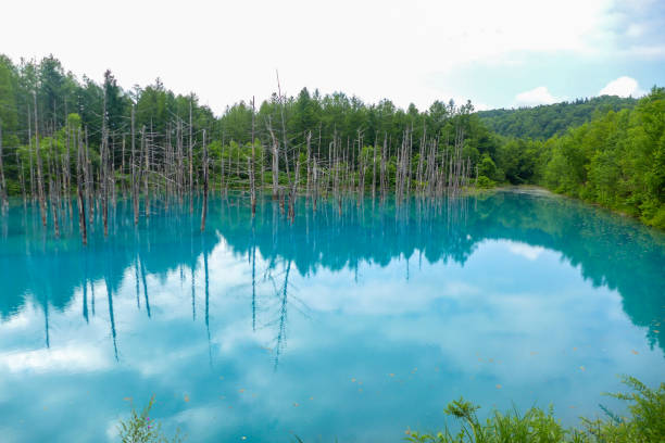 istock blue pond in Hokkaido , Japan 803909672