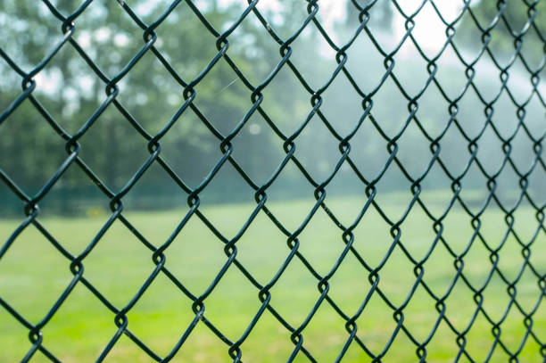 istock Iron fence at the grass court 803925964