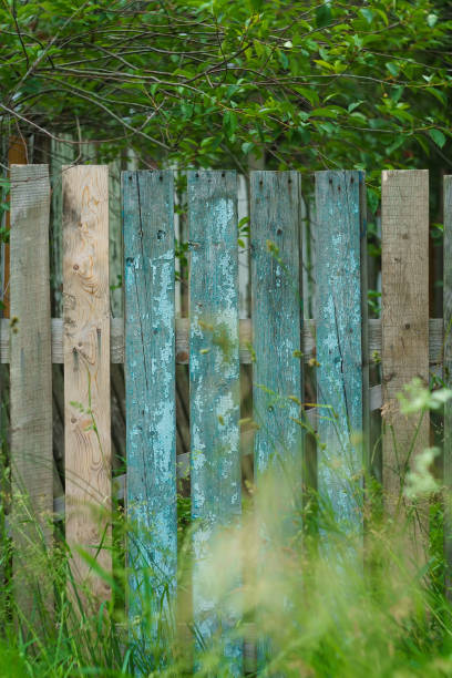 istock Old shabby wooden fence 803926226
