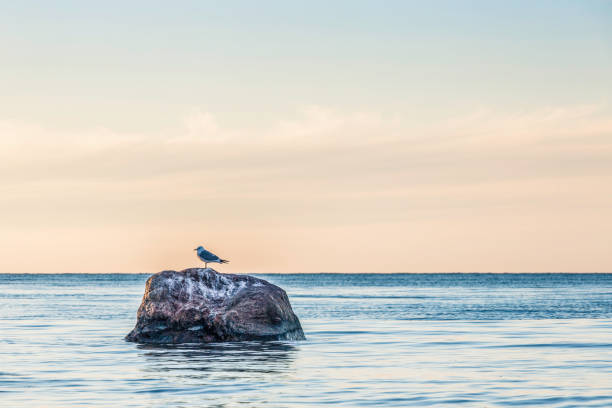 Sunset seascape in Paldiski, Estonia