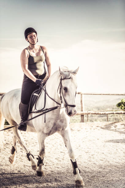 istock Horsewoman in a manege 803937092