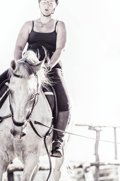 istock Horsewoman in a manege 803939958