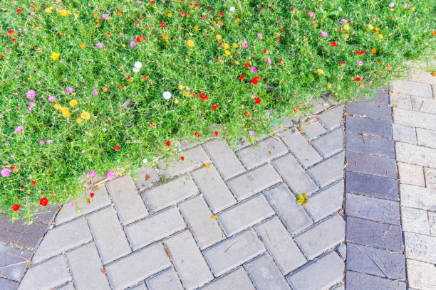istock Grass and flowers in garden 803940312