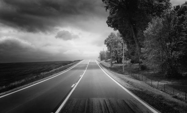 istock An open road lined with trees in the counrty 803949268