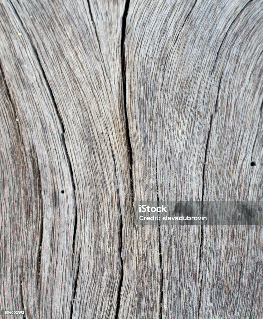 Kết Cấu Gỗ Dọc Cận Cảnh Ảnh Nền Gỗ Trắng Và Xám Hình ảnh Sẵn có ...