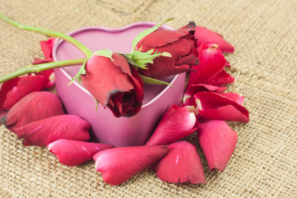 istock Heart shaped metal box with a red rose is placed on sackcloth. 804005168