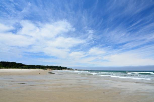 istock Bastendorff Beach, Coos County Park, Oregon 804014034