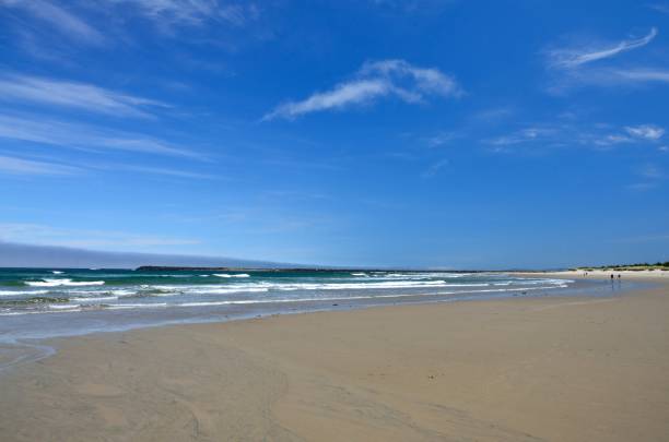 istock Bastendorff Beach, Coos County Park, Oregon 804014050