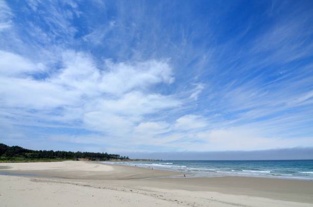 istock Bastendorff Beach, Coos County Park, Oregon 804014066
