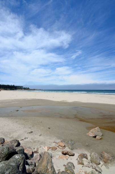 istock Bastendorff Beach, Coos County Park, Oregon 804014828