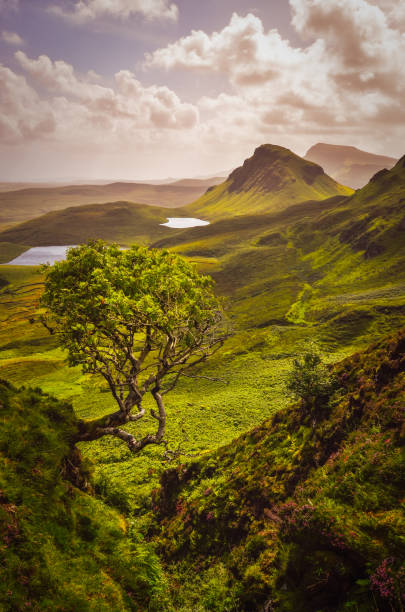 vue panoramique des montagnes quiraing à isle of skye, highlands écossais - quiraing needle photos et images de collection