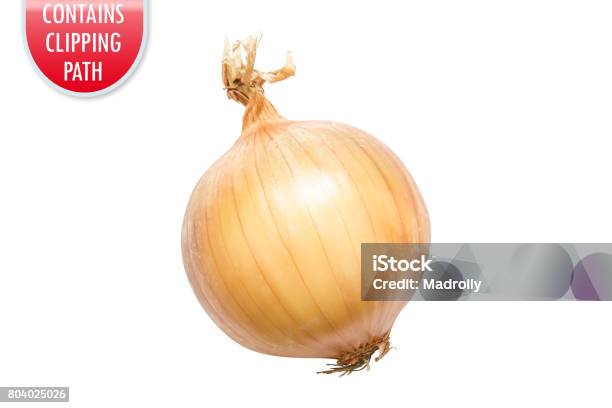 Yellow Onion Isolated On White With Clipping Or Working Path Stock Photo - Download Image Now