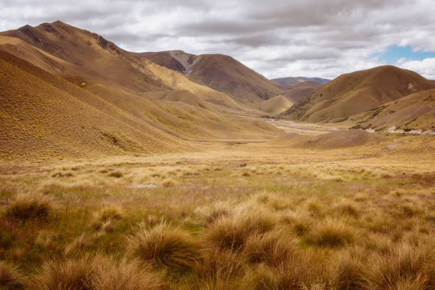 istock Landscape view of meadows and hills at Lindis Pass, NZ 804036966