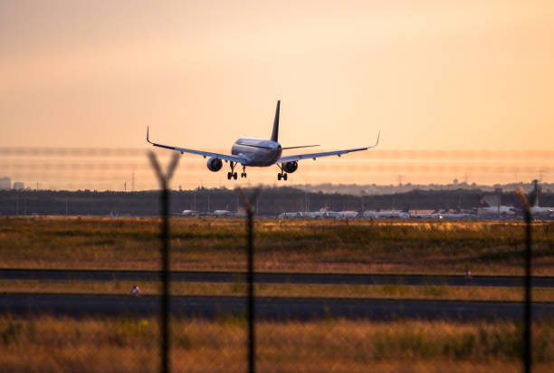 istock Airplane landing at sunset 804037240