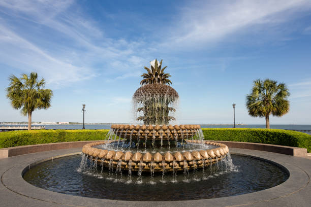 istock Pineapple Water Fountain in Charleston, SC 804037400