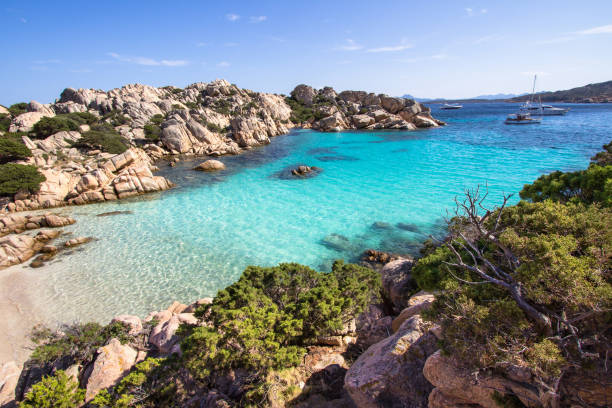 istock Beach of Cala Coticcio, Sardinia, Italy 804040160