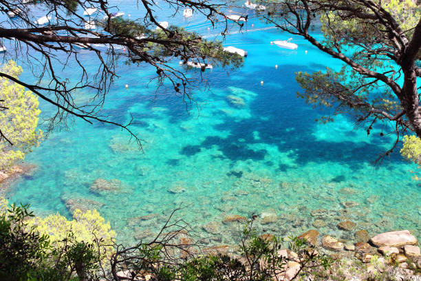 cristal águas perto da bonita praia de aiguablava na aldeia de begur, mar mediterrâneo, a catalunha, a espanha. - mediterranean countries gerona catalonia spain - fotografias e filmes do acervo