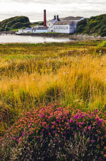 草原の前景、アイラ、イギリスでのラガヴーリン蒸留所工場 - bruichladdich whisky ストックフォトと画像