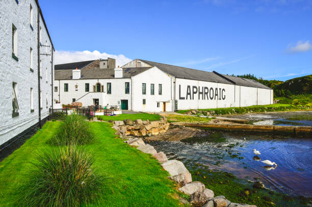 laphroaig destillerie fabrik, islay, vereinigtes königreich - bruichladdich whisky stock-fotos und bilder