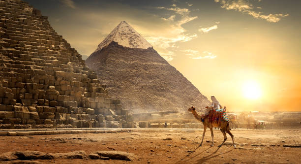 Nomad near pyramids Nomad on camel near pyramids in egyptian desert giza stock pictures, royalty-free photos & images