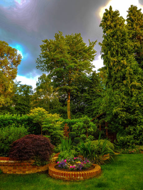 istock Moody sky over a green garden 804070586