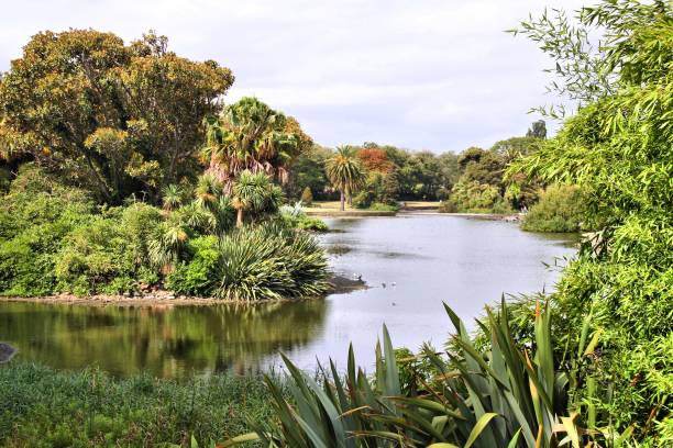 istock Royal Botanic Gardens, Melbourne 804070602