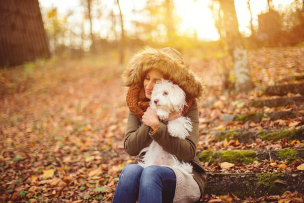 istock I love you furry friend 804070830