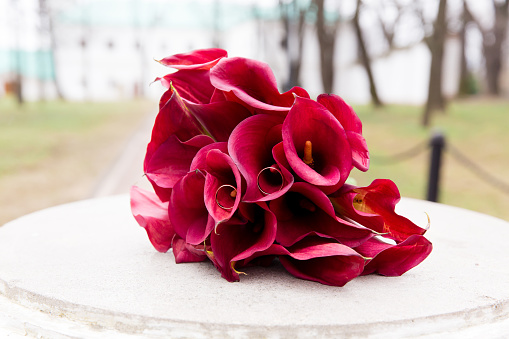 Beautiful wedding bouquet of flowers