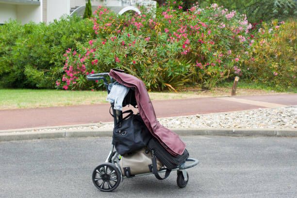 istock luggage trolley with suitcases and bags 804075876