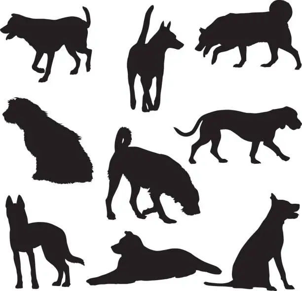 Vector illustration of Nine Dog Silhouettes