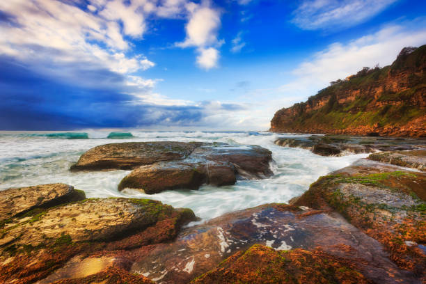 istock Sea Bungan 2 South Moss 804095568